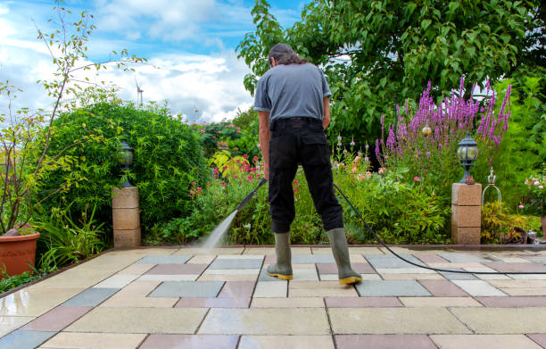 Best Animal Enclosure Cleaning  in Pine Lakes, FL